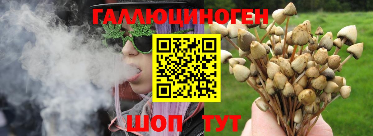 Галлюциногенные грибы MAGIC MUSHROOMS Мелеуз